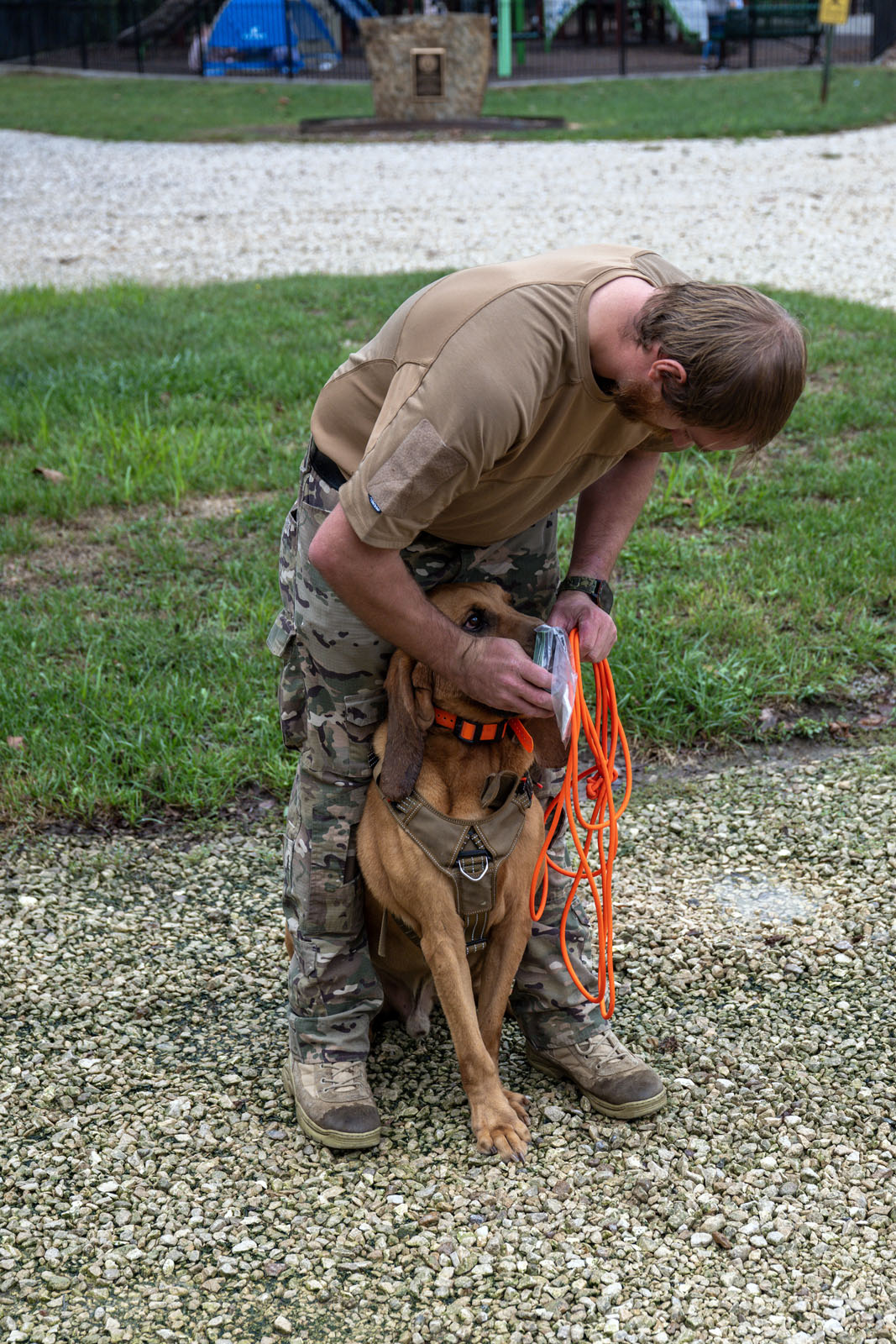 Officer holds a plastic bag with scent up to a bloodhound's nose to give him the scent to track.