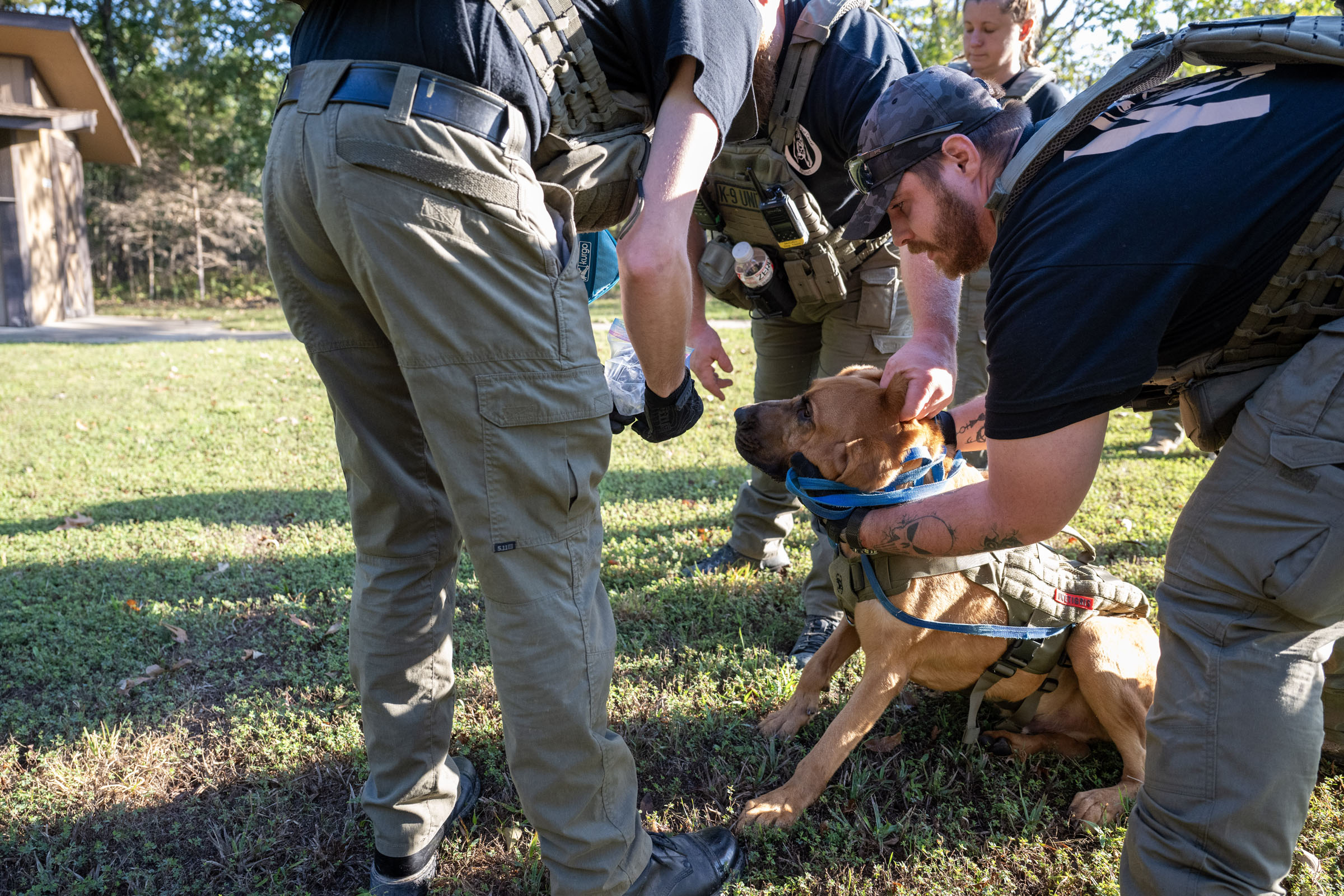 Officers allow bloodhound to smell Ziploc bag with scented cotton pad
