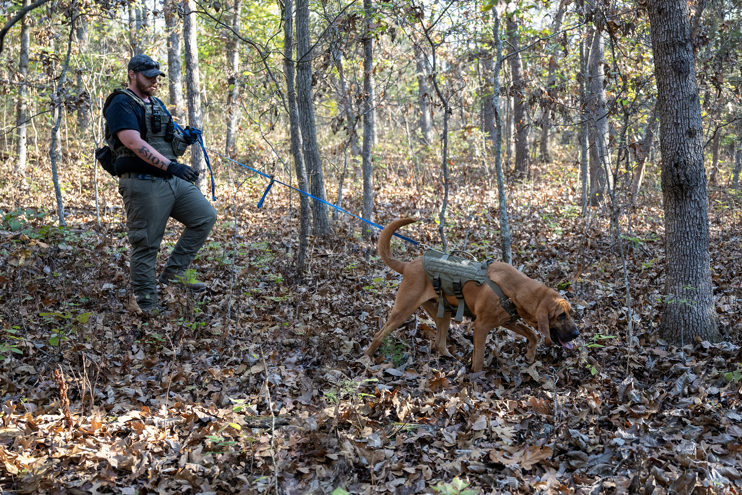 Bloodhound leads corrections officer on search through forest