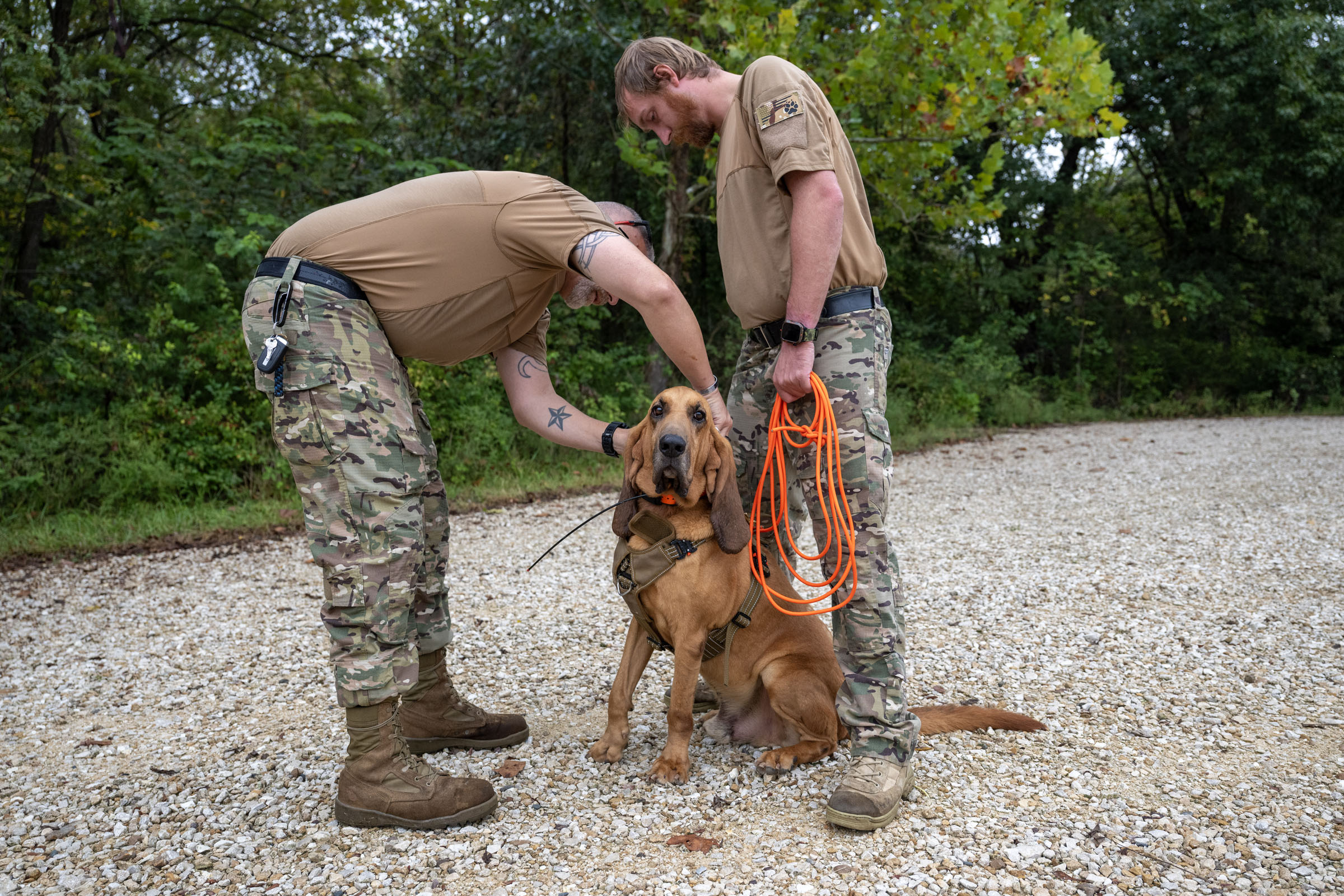 NECC dog team getting their dog geared up to track
