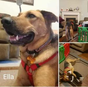 P4P graduate Ella