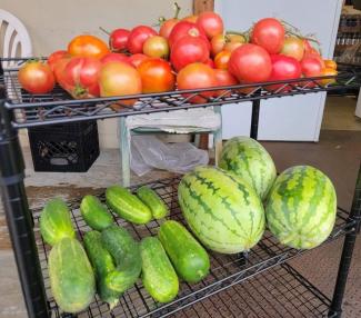 Restorative justice garden produce